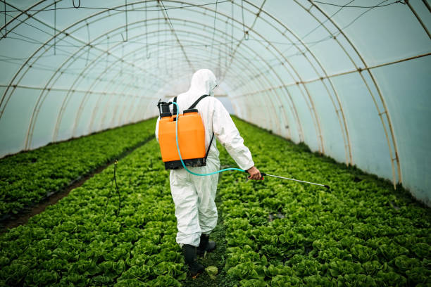 Best Affordable Pest Control Services  in Point Clear, AL