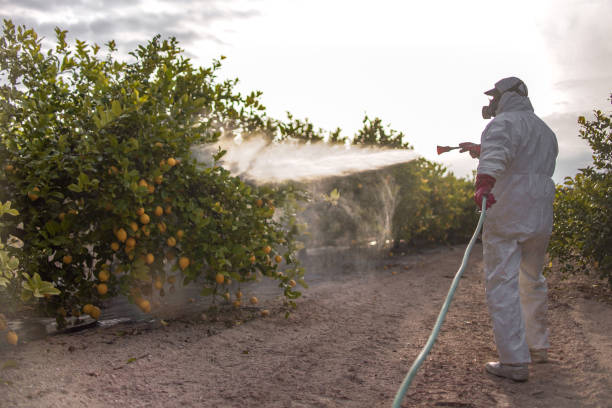 Best Pest Prevention Services  in Point Clear, AL