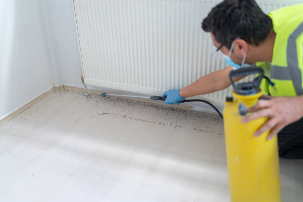 Best Flea Control Services  in Point Clear, AL